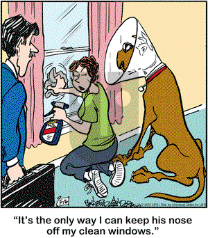Marmaduke on Thursday May 16, 2013 Comic Strip