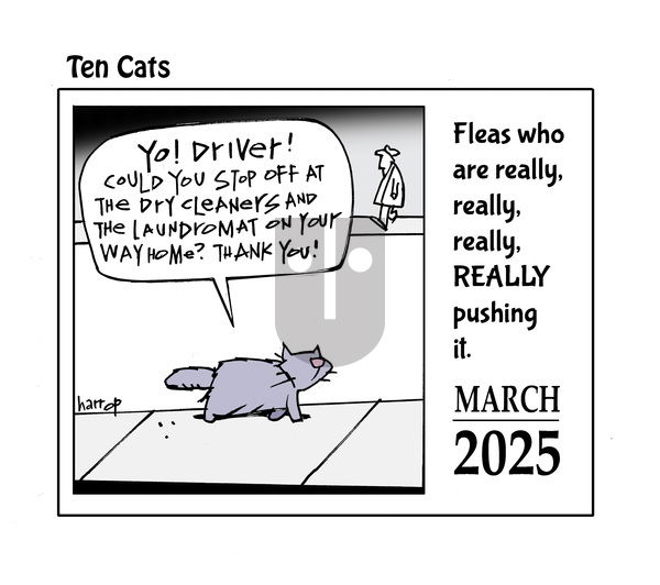 Ten Cats on Wednesday March 12, 2025 Comic Strip