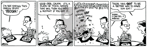 Calvin and Hobbes on Tuesday May 21, 1991 Comic Strip