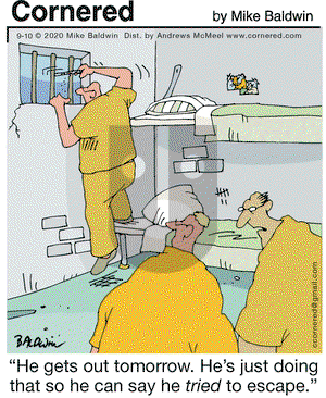 Cornered on Thursday September 10, 2020 Comic Strip