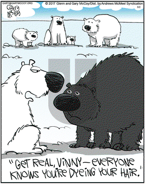 The Flying McCoys on Thursday August 2, 2018 Comic Strip