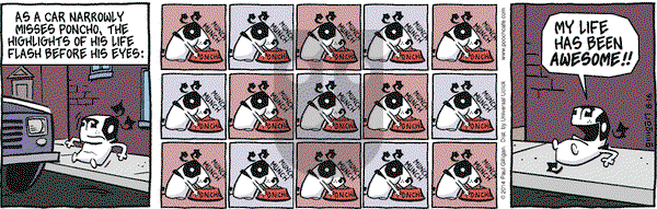 Pooch Cafe - Saturday August 16, 2014 Comic Strip