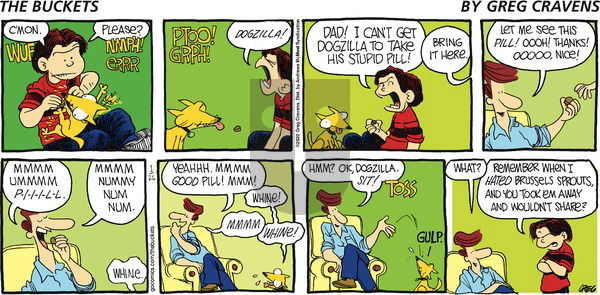 The Buckets on Sunday January 26, 2020 Comic Strip