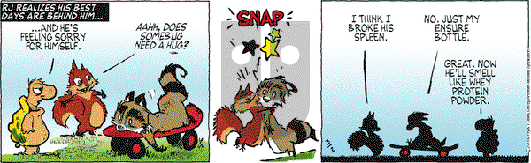 Over the Hedge on Friday March 2, 2018 Comic Strip