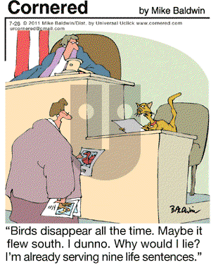 Cornered - Tuesday July 26, 2011 Comic Strip