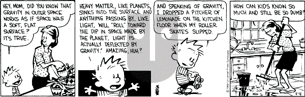 Calvin and Hobbes - Friday August 4, 1989 Comic Strip
