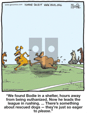 In the Bleachers - Friday November 23, 2007 Comic Strip