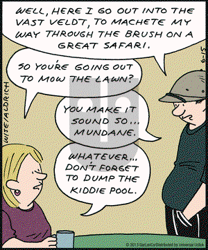 Real Life Adventures on Saturday June 15, 2013 Comic Strip