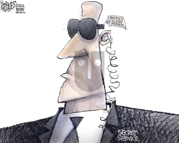 Matt Davies - Sunday July 21, 2024 Comic Strip