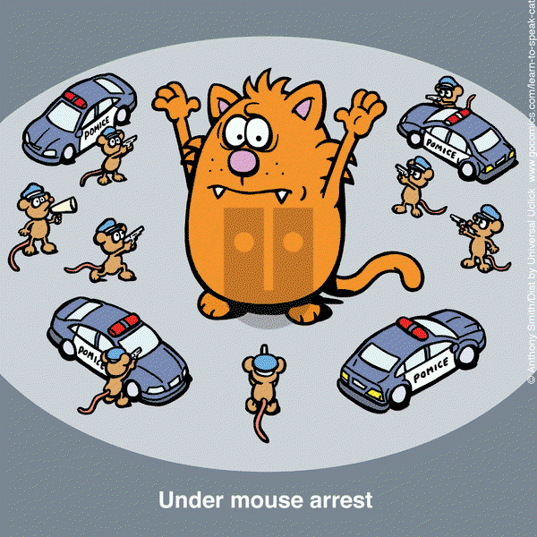 Learn to Speak Cat - Friday August 23, 2024 Comic Strip
