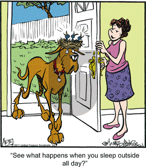 Marmaduke on Thursday March 31, 2011 Comic Strip