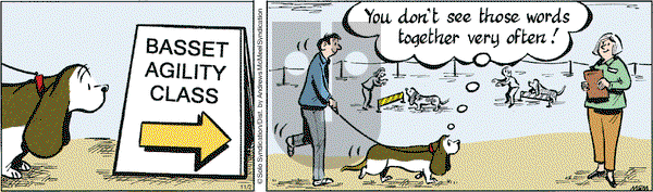 Fred Basset - Tuesday November 2, 2021 Comic Strip