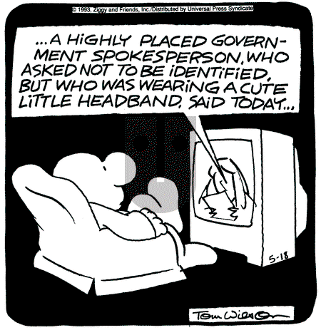 Ziggy - Tuesday May 18, 1993 Comic Strip
