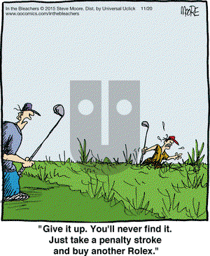 In the Bleachers on Friday November 20, 2015 Comic Strip