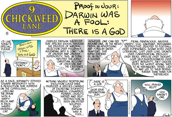 9 Chickweed Lane on Sunday September 7, 2008 Comic Strip
