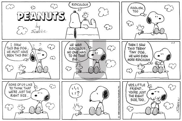 Peanuts on Sunday March 24, 1991 Comic Strip