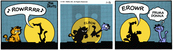 Garfield on Tuesday January 13, 1981 Comic Strip