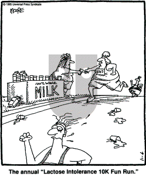 In the Bleachers on Saturday November 4, 1995 Comic Strip