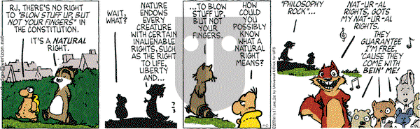 Over the Hedge on Wednesday July 3, 2013 Comic Strip