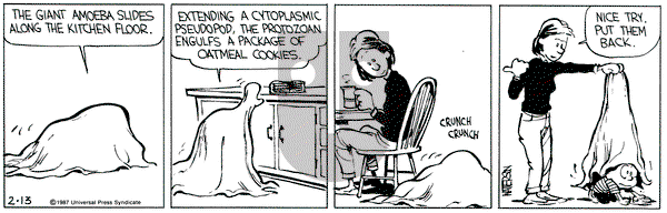 Calvin and Hobbes on Friday February 13, 1987 Comic Strip