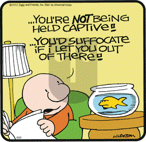 Ziggy on Monday August 20, 2012 Comic Strip