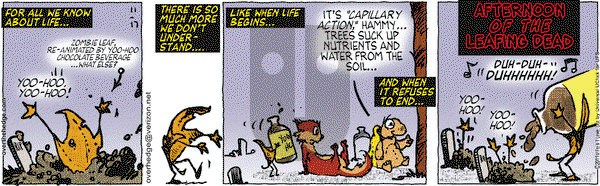 Over the Hedge on Thursday November 17, 2011 Comic Strip