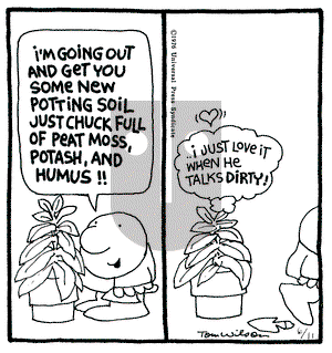 Ziggy on Friday June 11, 1976 Comic Strip