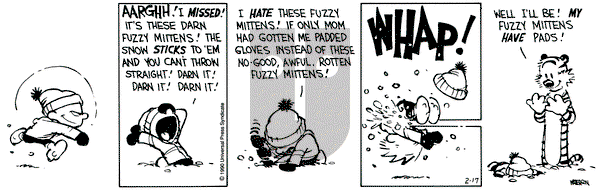 Calvin and Hobbes on Saturday February 17, 1990 Comic Strip