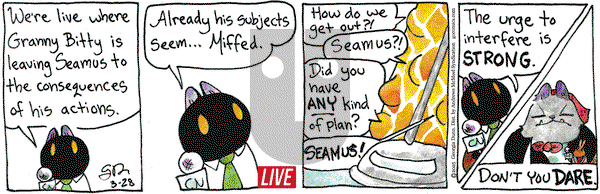 Breaking Cat News on Friday March 28, 2025 Comic Strip