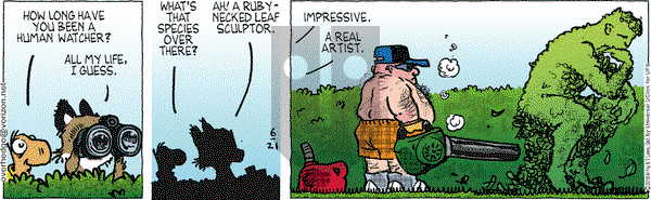 Over the Hedge on Tuesday June 21, 2016 Comic Strip