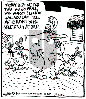 Reality Check on Friday August 10, 2001 Comic Strip