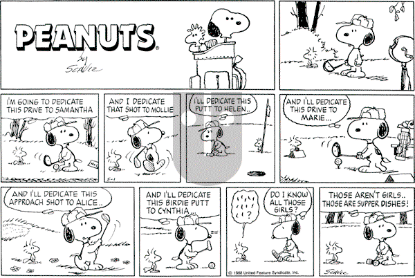 Peanuts - Sunday May 1, 1988 Comic Strip