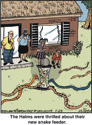 Close to Home on Tuesday January 25, 2011 Comic Strip