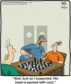 In the Bleachers on Tuesday May 30, 2017 Comic Strip