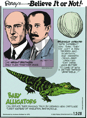 Ripley's Believe It or Not on Monday December 28, 2020 Comic Strip