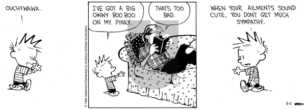 Calvin and Hobbes on Tuesday June 3, 2025 Comic Strip