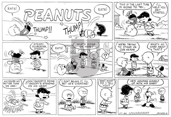 Peanuts on Sunday November 30, 1952 Comic Strip