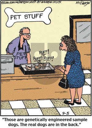 Close to Home on Monday September 5, 2016 Comic Strip