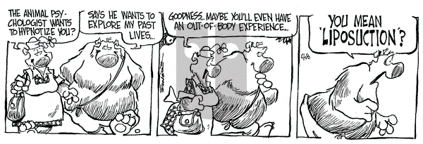 The Grizzwells on Saturday May 28, 1994 Comic Strip