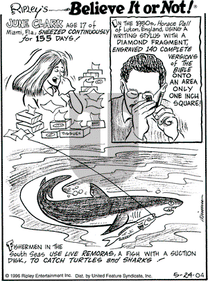 Ripley's Believe It or Not on Monday May 24, 2004 Comic Strip