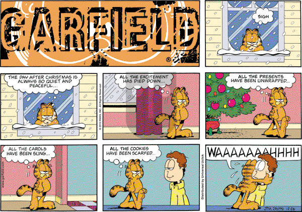 Garfield on Sunday December 26, 2010 Comic Strip