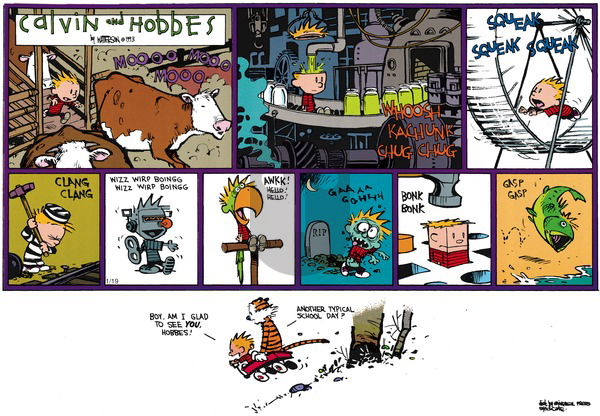 Calvin and Hobbes on Sunday March 14, 1993 Comic Strip