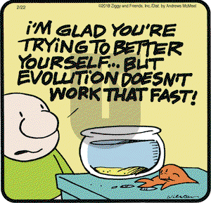 Ziggy on Thursday February 22, 2018 Comic Strip