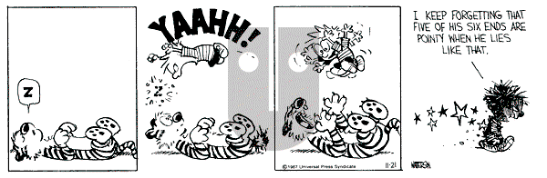 Calvin and Hobbes - Saturday November 21, 1987 Comic Strip