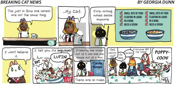 Breaking Cat News on Sunday May 3, 2020 Comic Strip