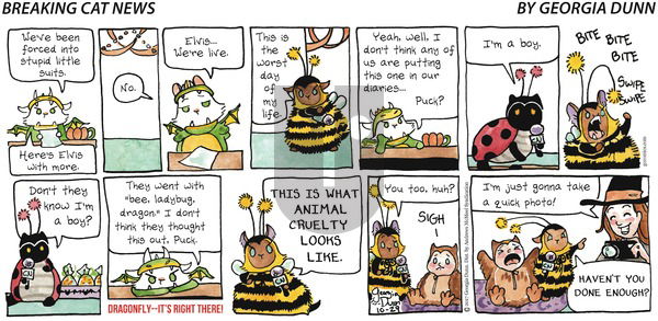 Breaking Cat News on Sunday October 29, 2017 Comic Strip