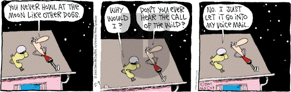 The Duplex on Friday May 9, 2003 Comic Strip