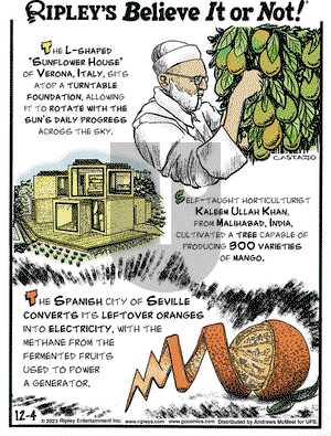 Ripley's Believe It or Not - Monday December 4, 2023 Comic Strip