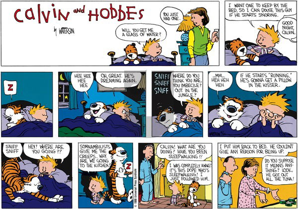 Calvin and Hobbes on Sunday April 3, 1988 Comic Strip