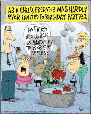 The Flying McCoys on Tuesday January 15, 2013 Comic Strip